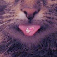 Екатерина Щеголева, 14.01, Пенза