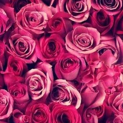 Iryna Skliarenko, 03.03, Hyannis