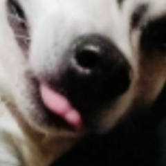 Илья Сомов, 25.12