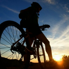 Иван Коломейцев, 13.05.1995, New York City