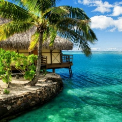 Танита Лун, 11.04