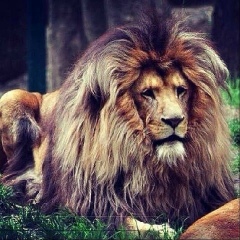 Али Назиров, 23.09.1993, Грозный