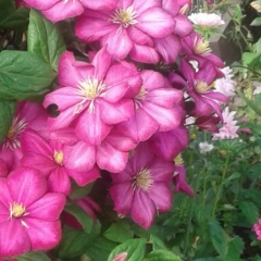 Луиза Каримова, 01.07.1954, Белорецк