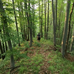 Заурбек Беликов, 20.09, Владикавказ