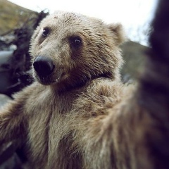 Анастасия Каминская, Чита