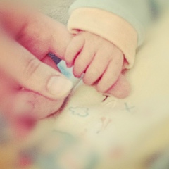 Света Байсиева, 12.11