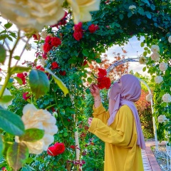 Алиса Темирсултанова, 23.03.1990, Грозный