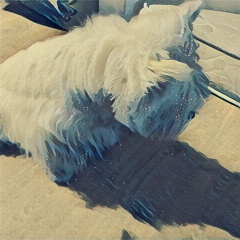 Марина Юрьевна, 19.11, Краснодар