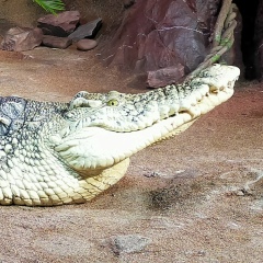 Антон Николаев, 24.06, Санкт-Петербург