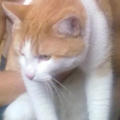 Вадим Александров, 01.05, Санкт-Петербург