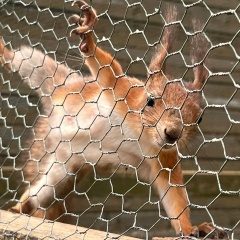 Ариэлла В, 07.08, Москва