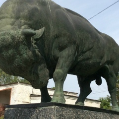 Данила Макаров, 24.10.1986, Москва