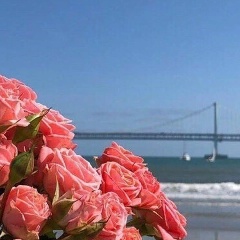 Аида Достай, 01.04, Алматы