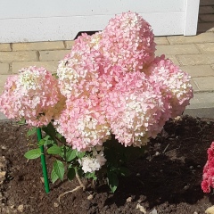 Наталья Маслова, 14.09.2001