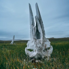 Serg Shumar, 08.09, Санкт-Петербург