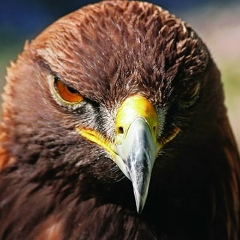 Айтбек Султанбек, 15.03, Астана