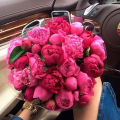 Мия Михайленко