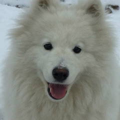 Екатерина Хобина, 28.02.1989, Вологда