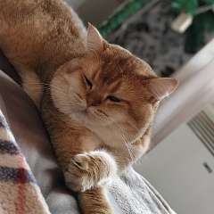 Елена Гессон, 14.09, Уфа