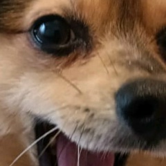 Константин Маринкин, 23.12.1981, Санкт-Петербург