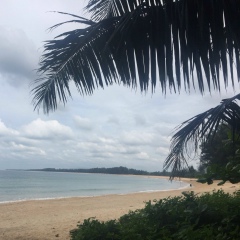 Александр Харитонович, 01.08.1989, Москва