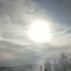 Елена Крушатина, 29.05, Москва