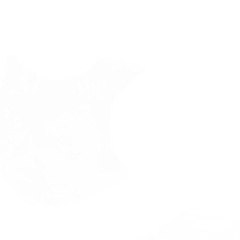 Семён Тимошкин, 10.05.1992, Москва