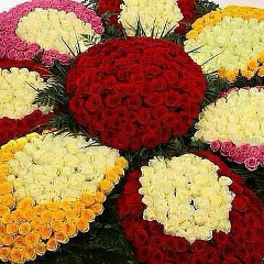 Фариза Jamajka, 12.01.1978, Назрань