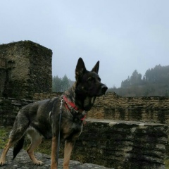 Мария Кузнецова, 08.04.1981, Тольятти