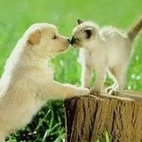 Лейла Московская, 20.03