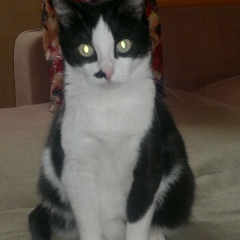 Ольга Ефремова, 01.01.2000