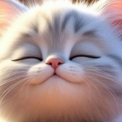 Allena Popova, 16.08