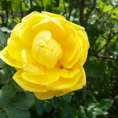 Гульзат Маратовна, 06.09.1985, Караганда