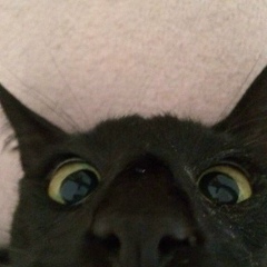 Светлана Халухаева, 17.04.1974