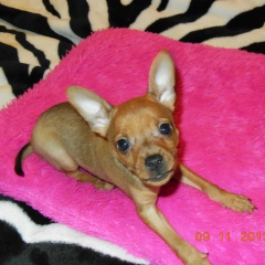 Александра Захаревич, 01.10.1986, Минск