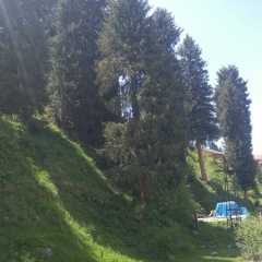 Ролан Нурбаев, 29.03, Алматы