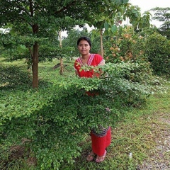 Mal Thandar, 20.04.1979