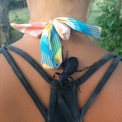 Анастасия Владимирова, 30.01, Санкт-Петербург