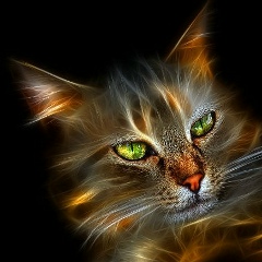 Янек Пуговкин, 04.11, Бердск