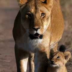 Татьяна Татьяна, 28.04, Сергиев Посад