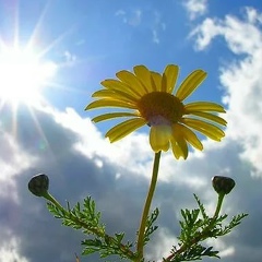 Татьяна Гринько