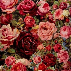 Алёна Булычева, 20.01, Москва