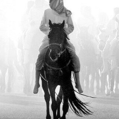 Шавкат Ходжакулов, 28.11, Душанбе