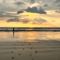 Юрий Скоркин