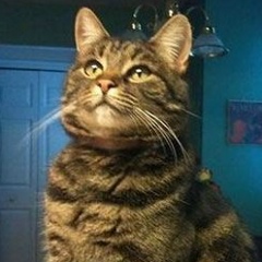 Миха Телегин, 19.07.1988, Калуга