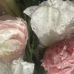 Mariya Kim, 14.07.1995, Алматы