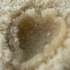 Ольга Иванова, 19.01.1994, Санкт-Петербург