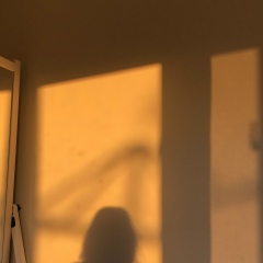 Светлана Пальмова, 22.02, Коломна