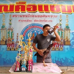 Pk Boonyarit, 07.01.1996