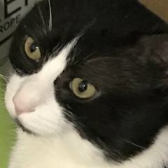 Irina Tyutenkova, 17.12